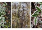 Winter Textures by Alan Philips_